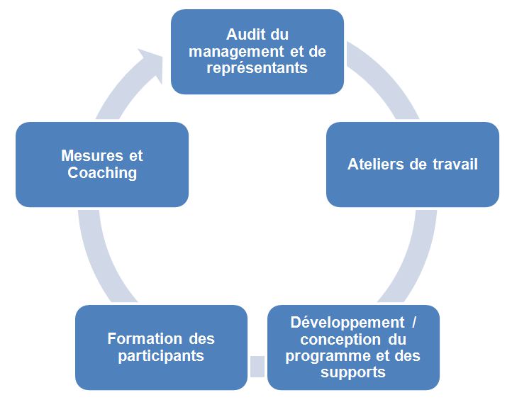 Audit -> Ateliers de travail -> Conception -> Formation -> Mesures et Coaching